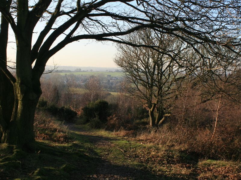 Burntwood is located on the fringes of Cannock Chase.