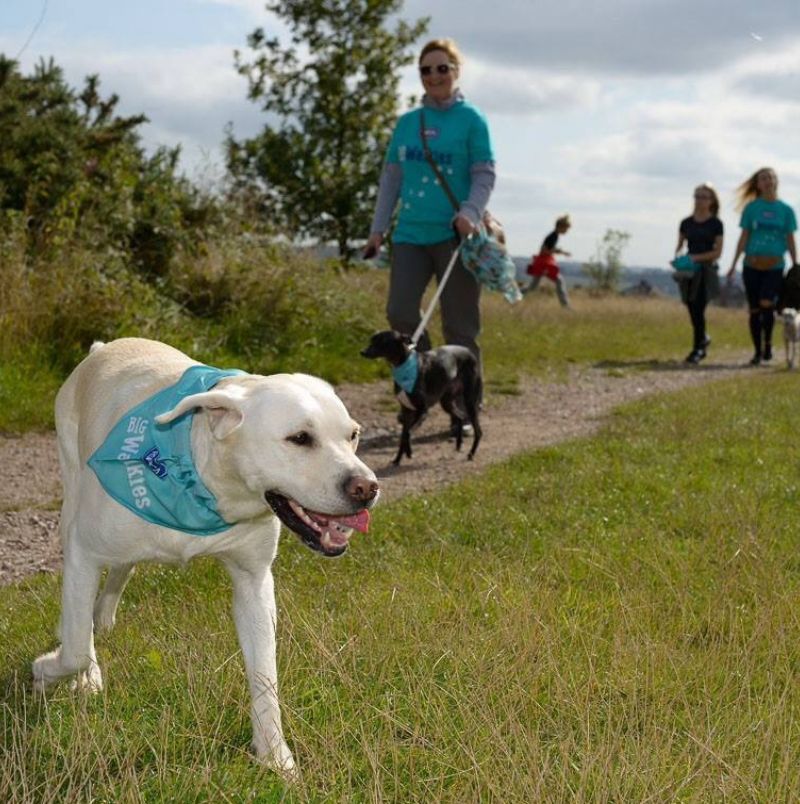 North Staffordshire RSPCA rescue centre.