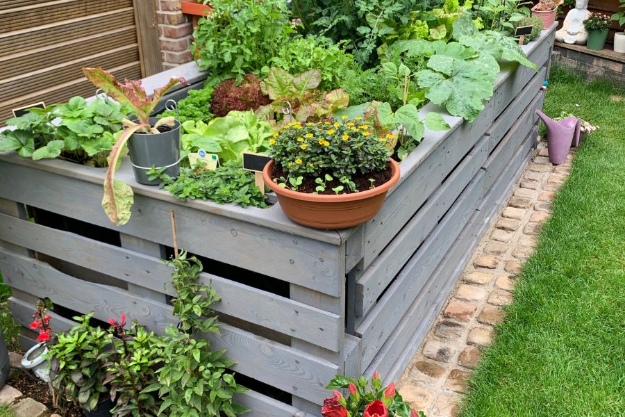 Plants for raised beds